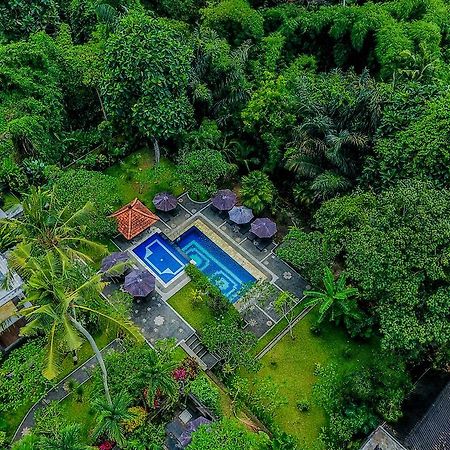 Alas Petulu Villa Resort And Spa أوبود المظهر الخارجي الصورة
